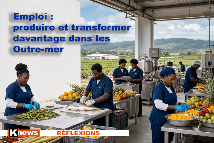 ​Emploi : produire et transformer davantage dans les Outre-mer