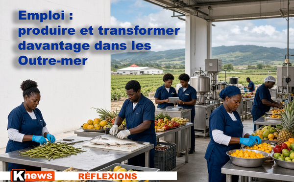 ​Emploi : produire et transformer davantage dans les Outre-mer