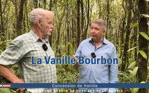 ​La vanille Bourbon, un trésor réunionnais qu'il est urgent de sauver